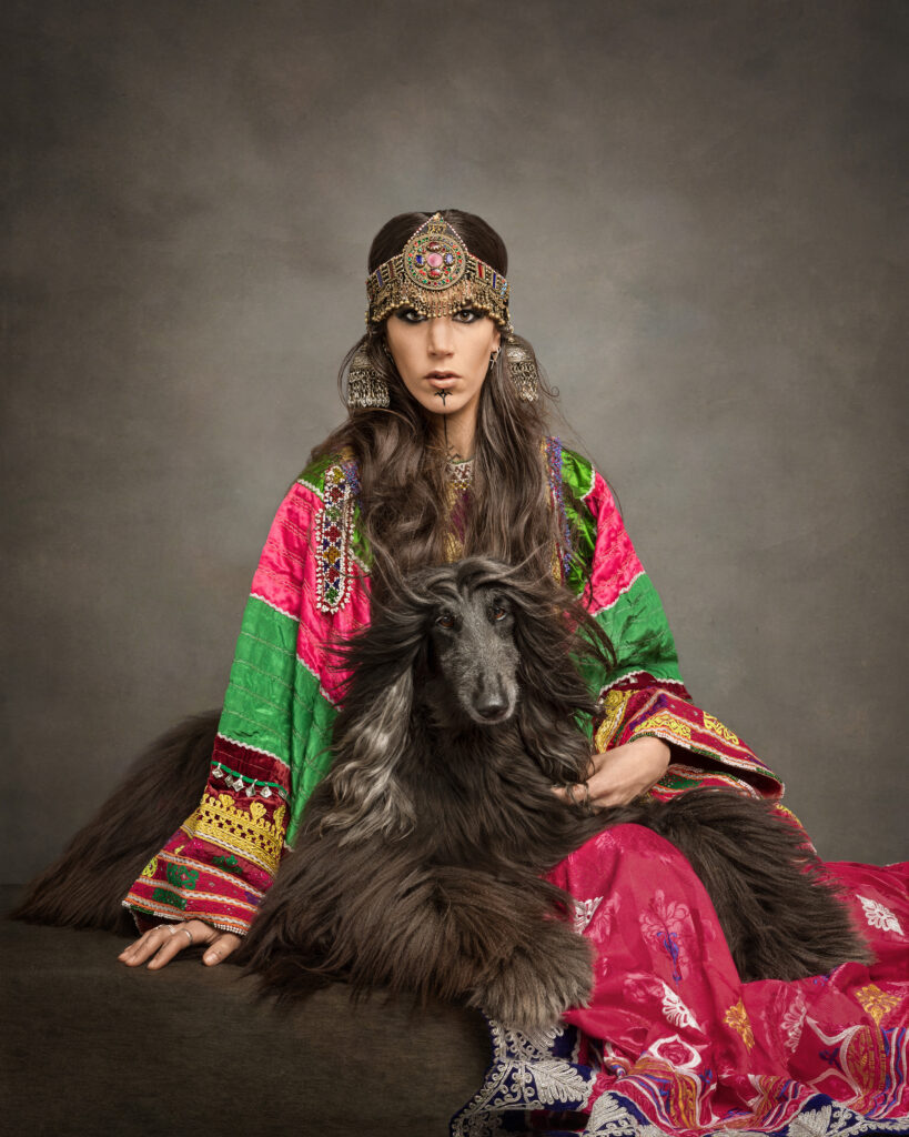 Afghan Bride, Afghan Hound, Dogphotography